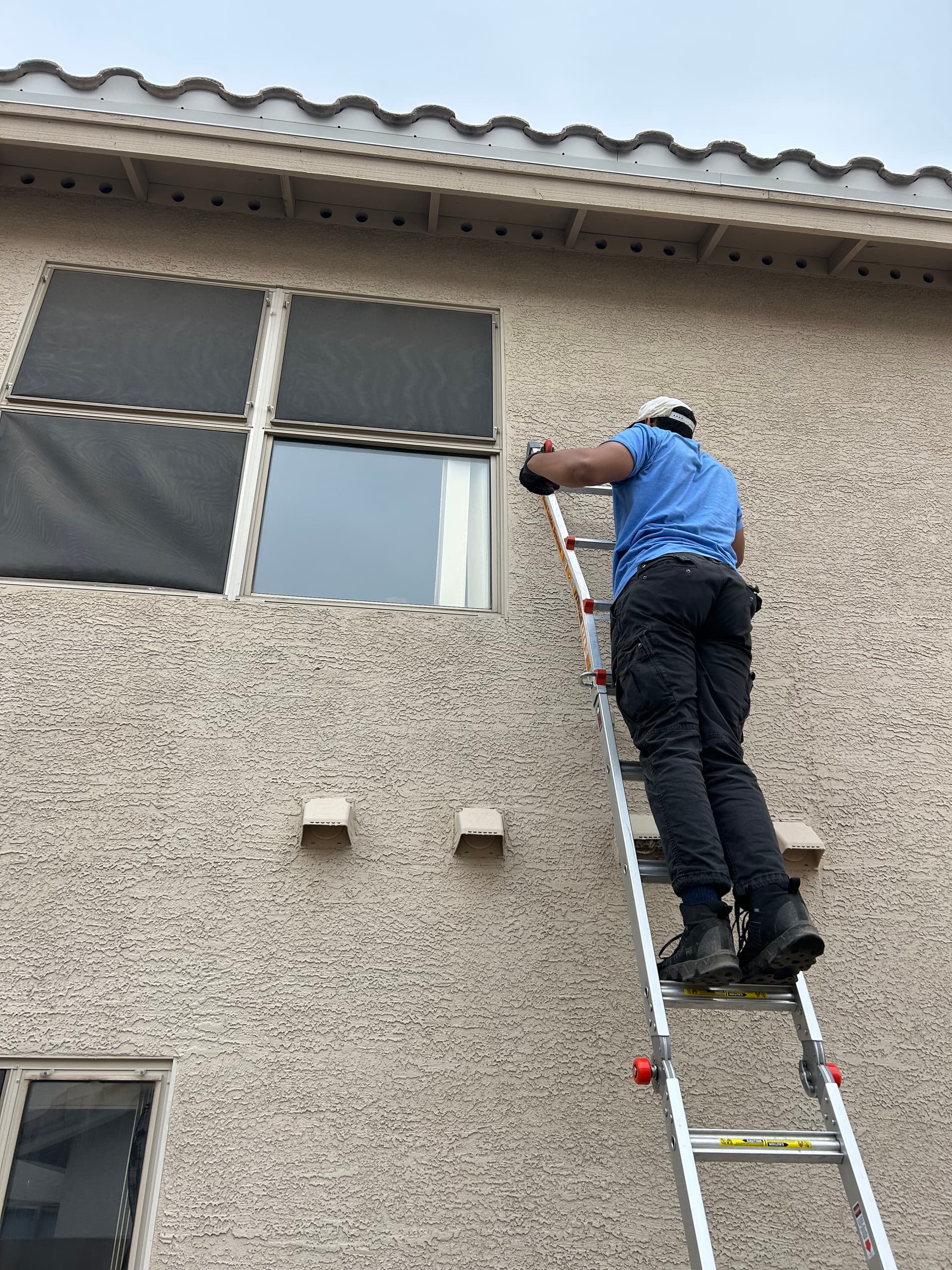 Why Dirty Window Screens Cost You More Than You'd Expect image