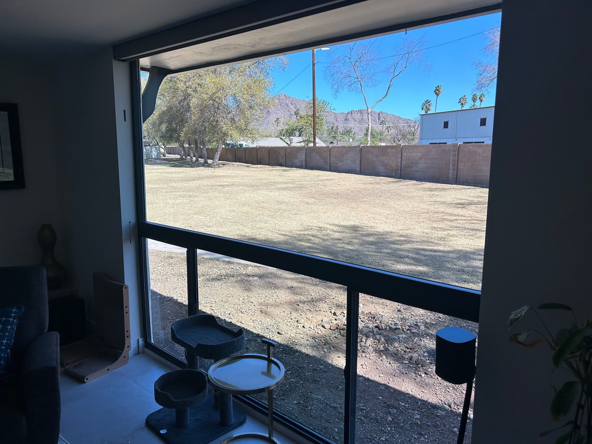 Window Cleaning Done Right for Mesa Homes image