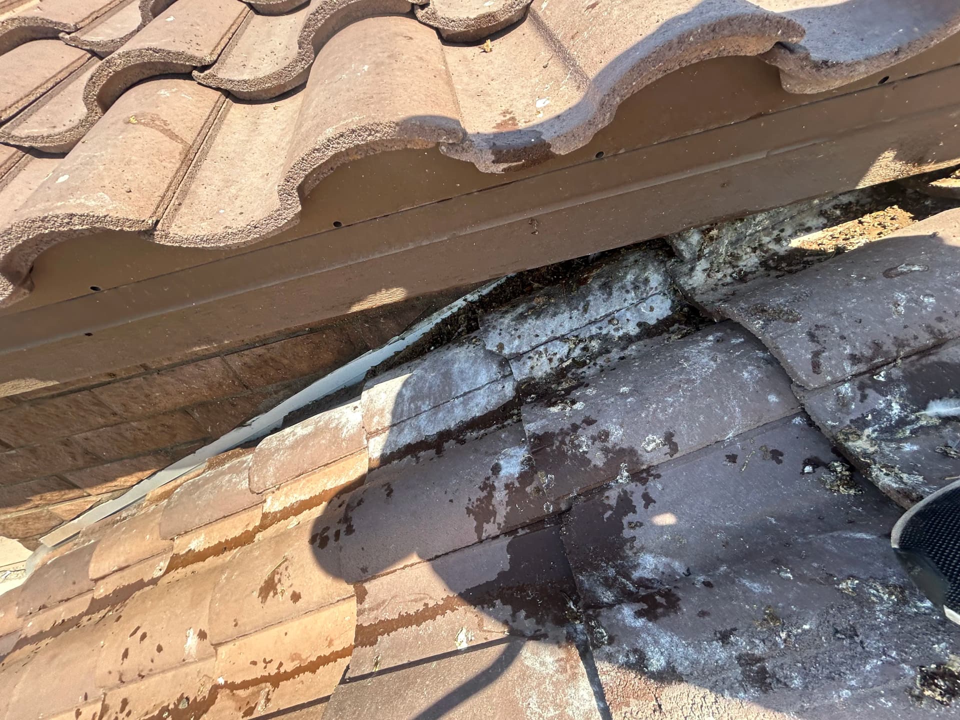 What Builds Up on a Roof When It Goes Too Long Without a Wash image