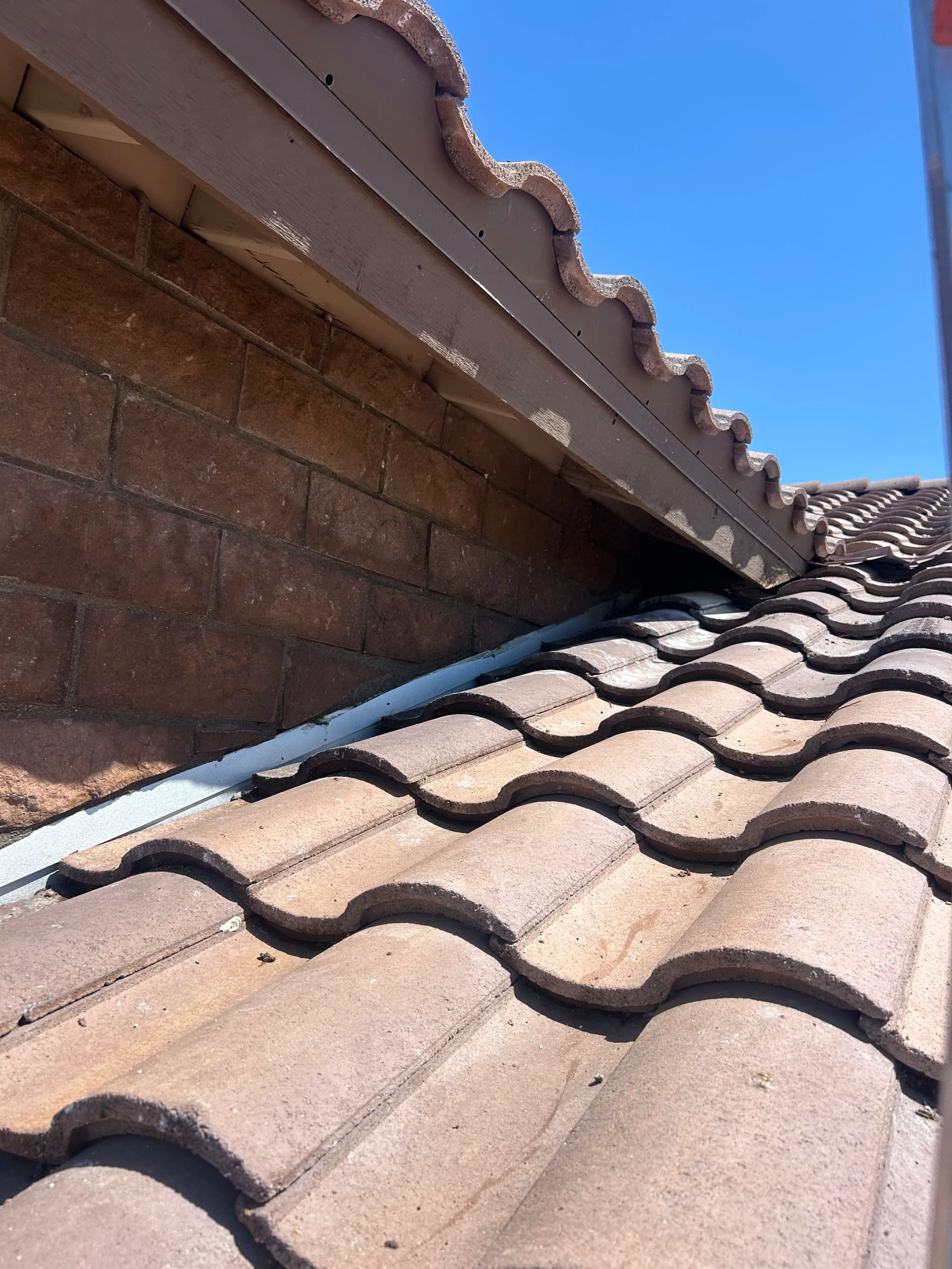 Gallery photos for What Builds Up on a Roof When It Goes Too Long Without a Wash: Image #1